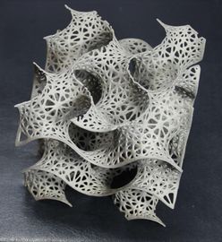 Porcellana Lega su misura del Cr di Co che modella modello rapido di stampa di DMLS 3D per Artware fabbrica